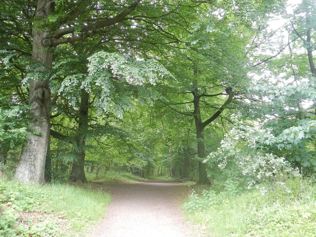 Stadswandeling ’t Tuindorp – de Parel van Hengelo in Twente