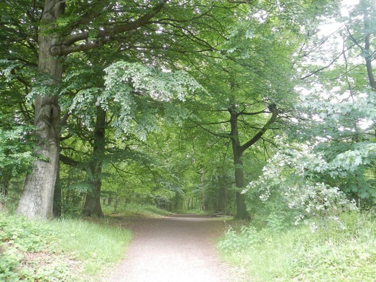 Stadswandeling Hengelo Toen, Zoeken Naar Het Verleden — Natuur in Twente