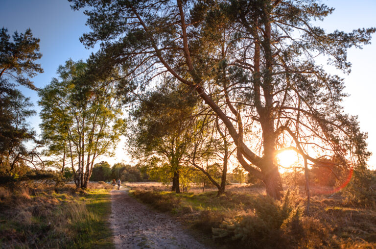 Hemelvaart — festival in Twente